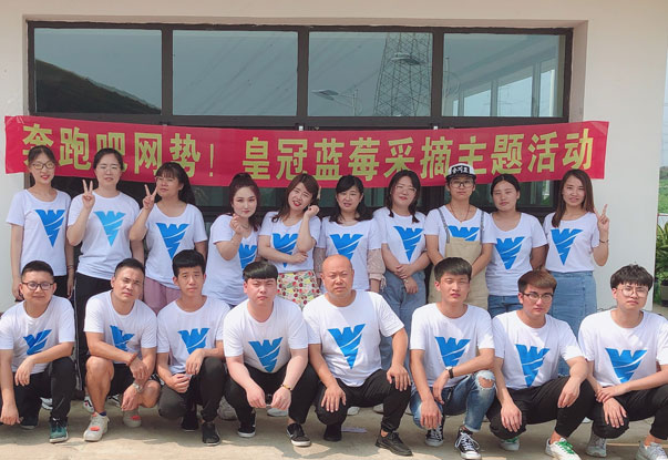 【奔跑吧網(wǎng)勢(shì)！】藍(lán)莓采摘主題團(tuán)建活動(dòng)